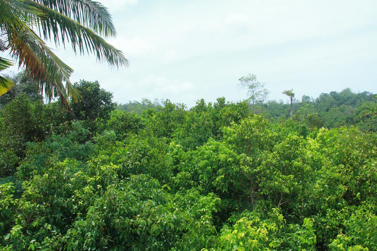 فيلا Mirissa Eco Hills المظهر الخارجي الصورة