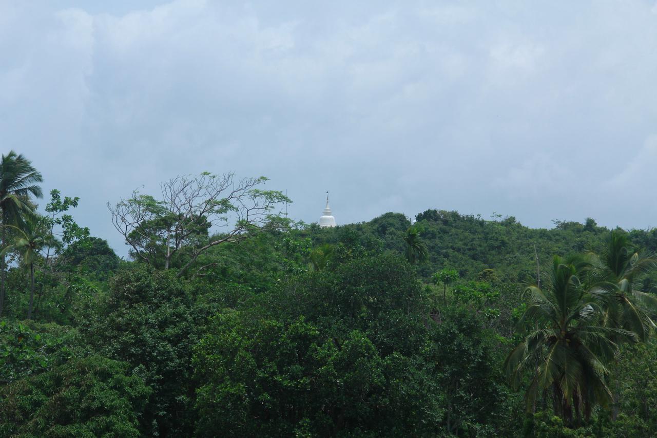 فيلا Mirissa Eco Hills المظهر الخارجي الصورة