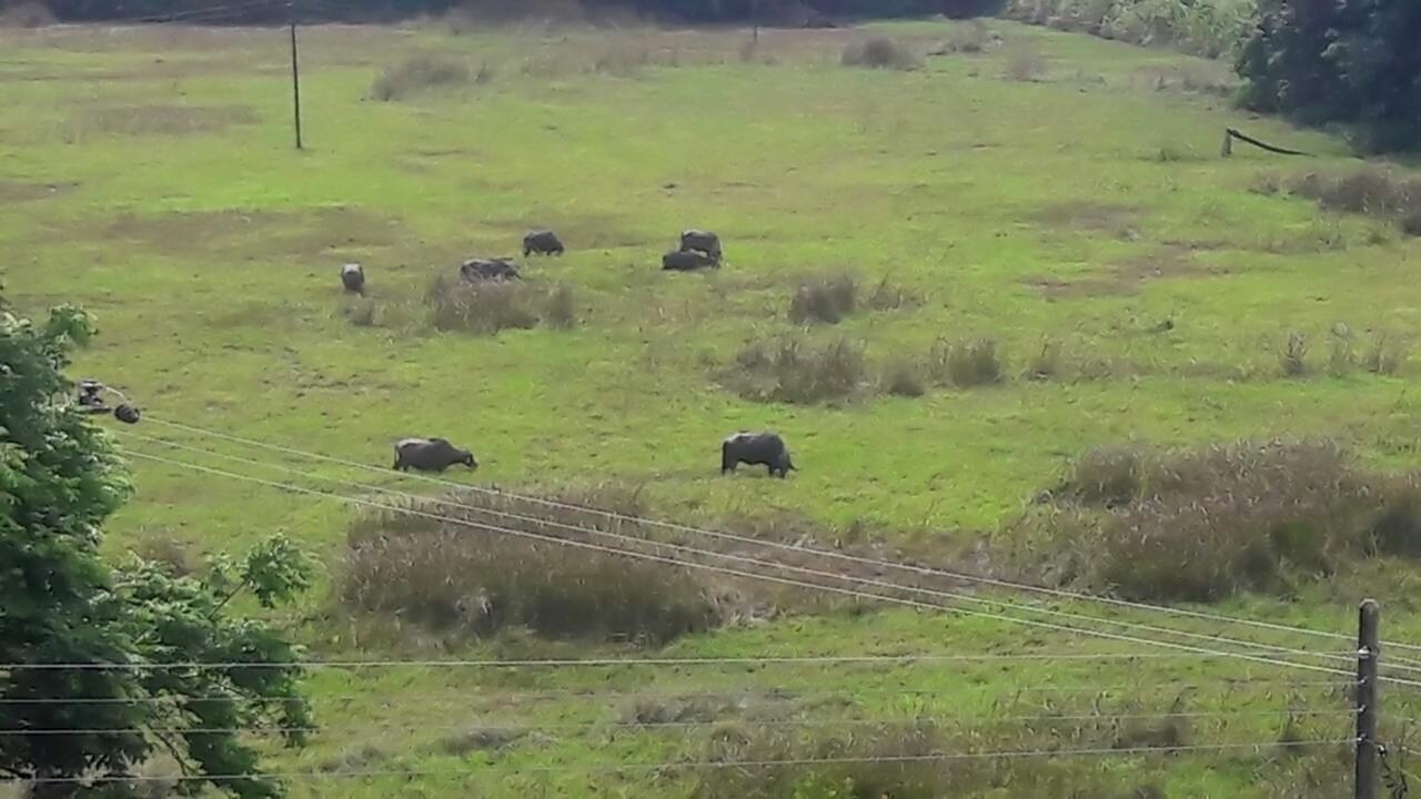 فيلا Mirissa Eco Hills المظهر الخارجي الصورة